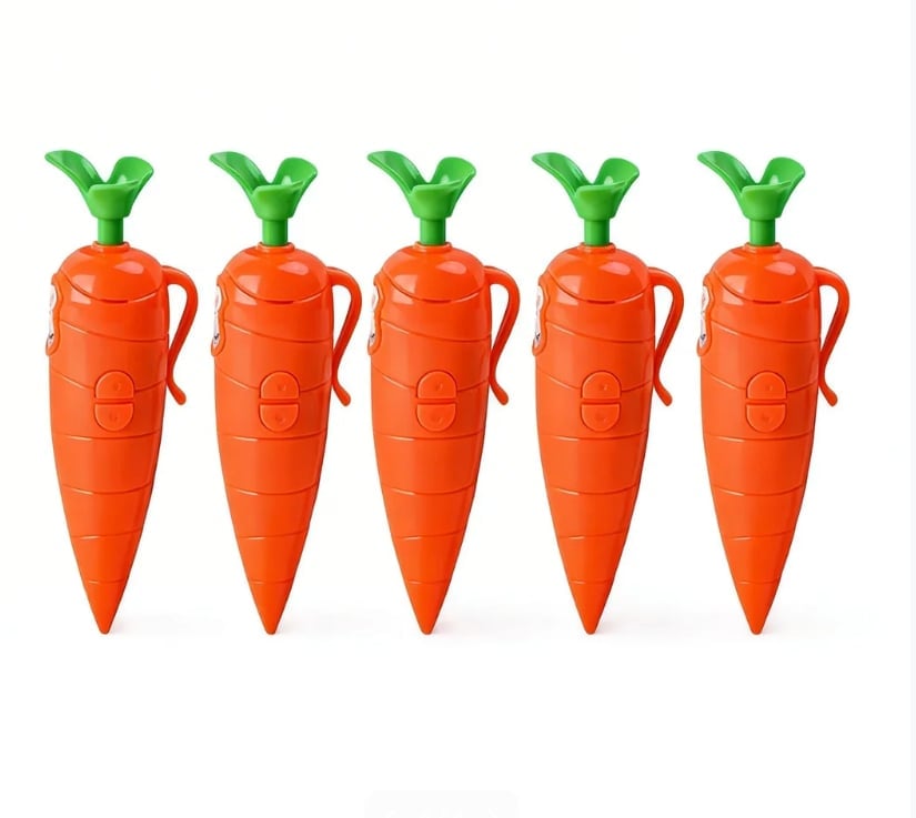 Portable Carrot Voice Recorder Ballpoint Pen