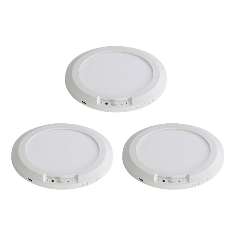 Motion Sensor Ceiling Light