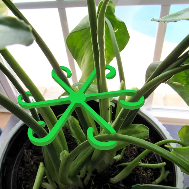 Monstera support retainer sets