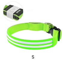 Load image into Gallery viewer, Dual Fiber Nighttime Luminous Dog Collar