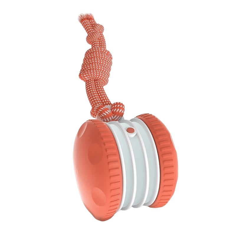 Interactive Dog Toys