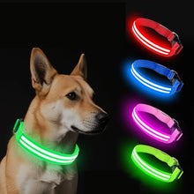 Load image into Gallery viewer, Dual Fiber Nighttime Luminous Dog Collar