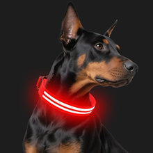 Load image into Gallery viewer, Dual Fiber Nighttime Luminous Dog Collar