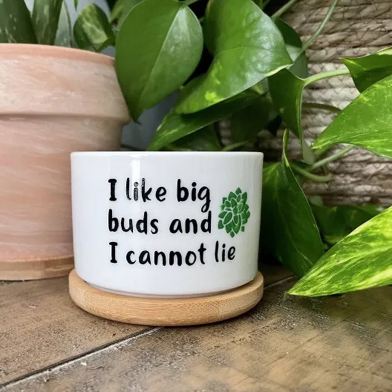 Funny Unique Succulent Pots