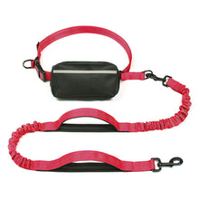 Load image into Gallery viewer, Hands Free Dog Leash With Zipper Pouch