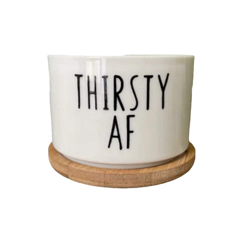 Funny Unique Succulent Pots
