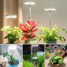 Load image into Gallery viewer, Indoor Plant Growth Light