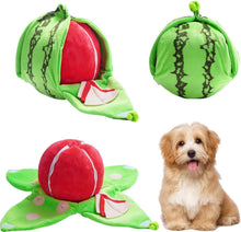 Load image into Gallery viewer, Orange Hide-and-Seek Plush Dog Toy