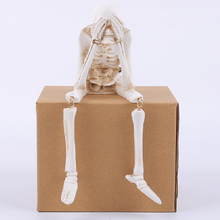 Load image into Gallery viewer, Creative Skeleton Skull Decor