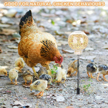 Load image into Gallery viewer, Chicken Peck Toy Slow Feeder