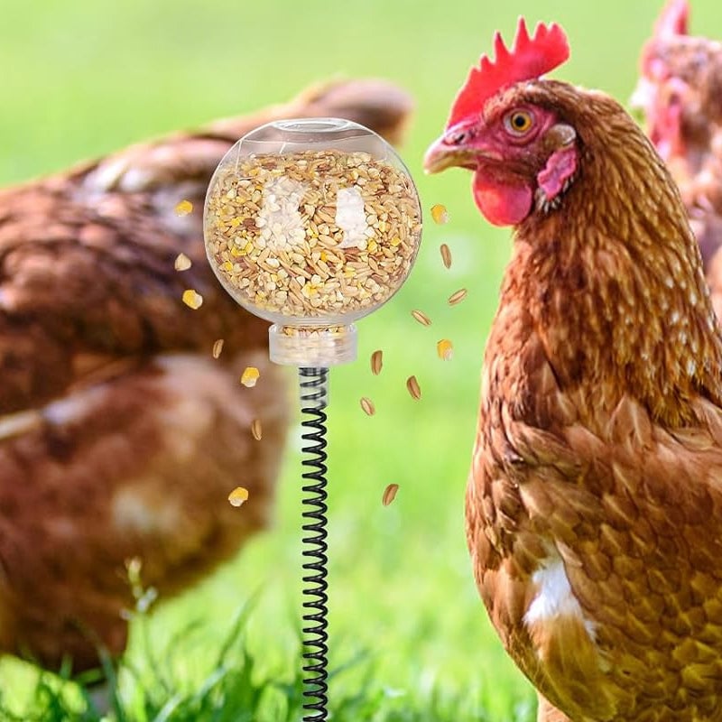 Chicken Peck Toy Slow Feeder
