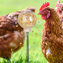 Load image into Gallery viewer, Chicken Peck Toy Slow Feeder