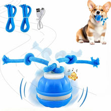 Load image into Gallery viewer, Interactive Smart Rolling Pet Ball