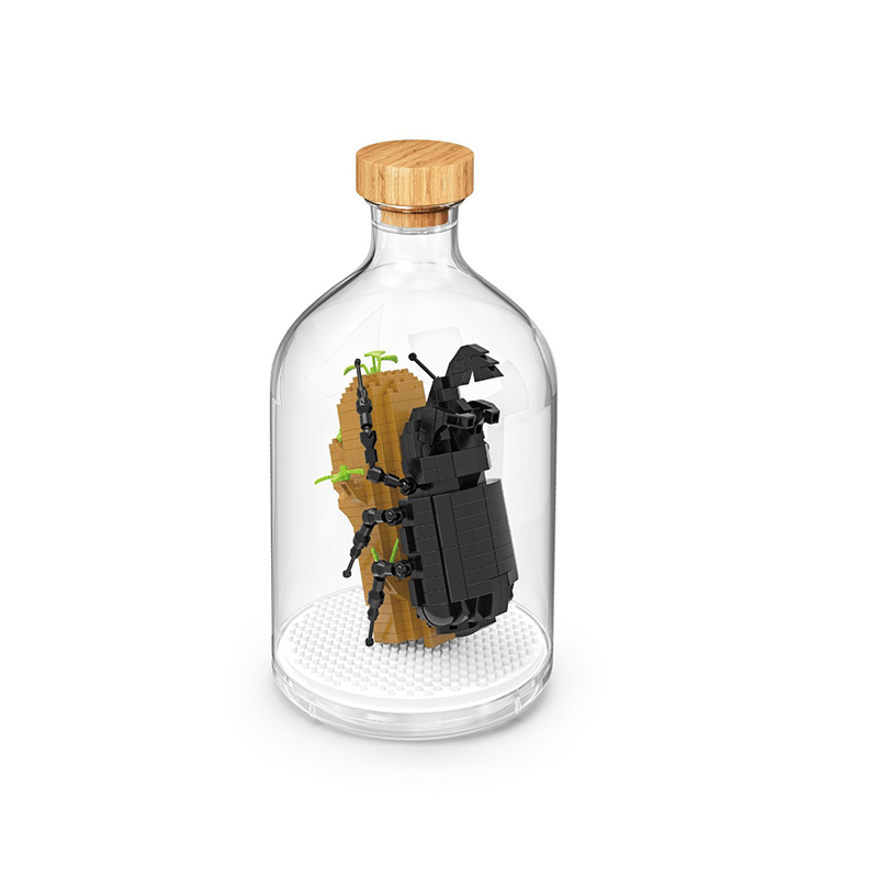 Insect Collection Building Blocks with Glass Display Bottle