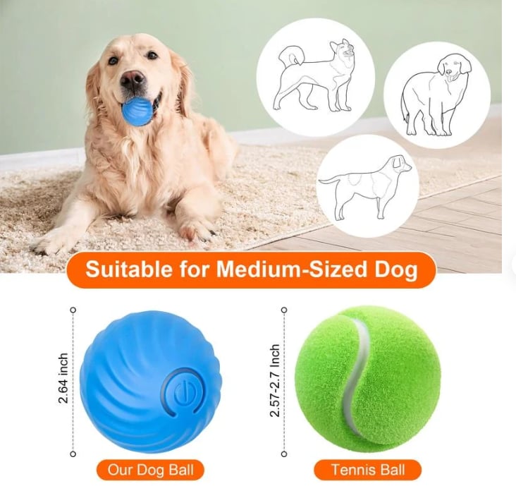 Indoor Cat Interactive Ball