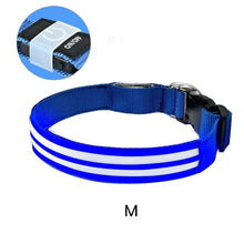 Load image into Gallery viewer, Dual Fiber Nighttime Luminous Dog Collar