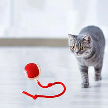 Load image into Gallery viewer, Indoor Cat Interactive Ball