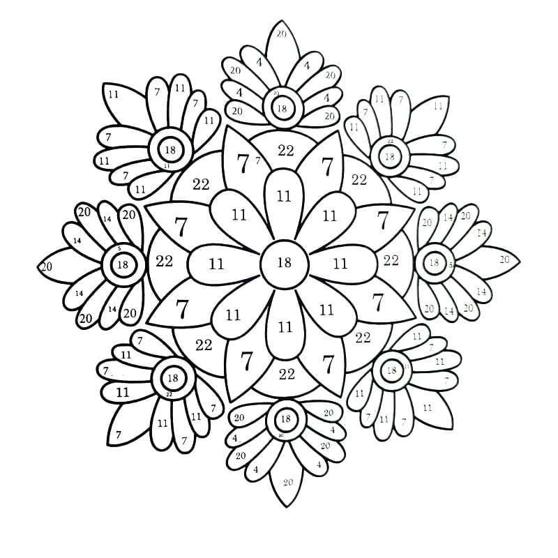 Color By Number Coloring Book for Adults