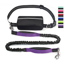Load image into Gallery viewer, Hands Free Dog Leash With Zipper Pouch