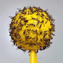 Load image into Gallery viewer, Yellow sticky insect ball