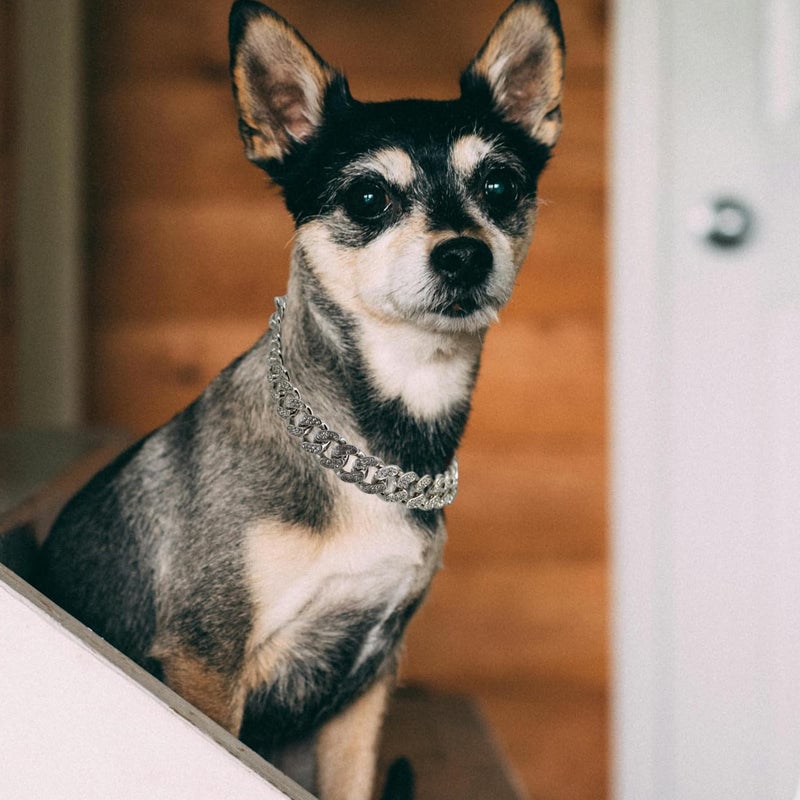 Bling Cuban Link Dog Collar