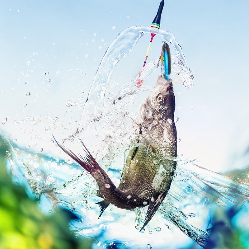 Artificial Fishing Lure (10pcs)