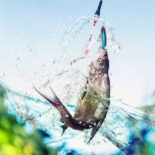Load image into Gallery viewer, Artificial Fishing Lure (10pcs)