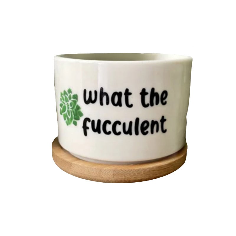 Funny Unique Succulent Pots