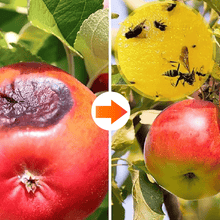 Load image into Gallery viewer, Yellow sticky insect ball