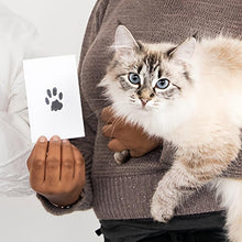 Load image into Gallery viewer, New Pet Paw Printing Kit