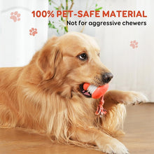 Load image into Gallery viewer, Interactive Dog Toys