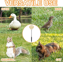 Load image into Gallery viewer, Chicken Peck Toy Slow Feeder