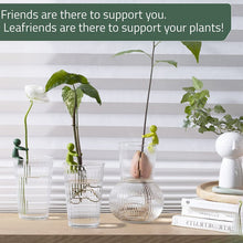 Load image into Gallery viewer, Plant Propagation Buddy