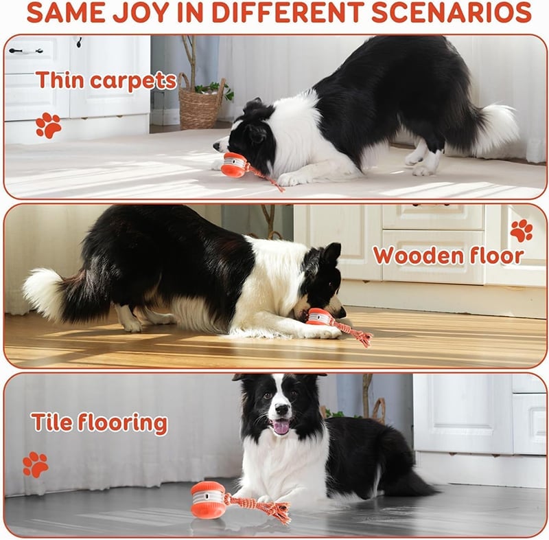 Interactive Dog Toys