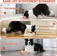 Load image into Gallery viewer, Interactive Dog Toys