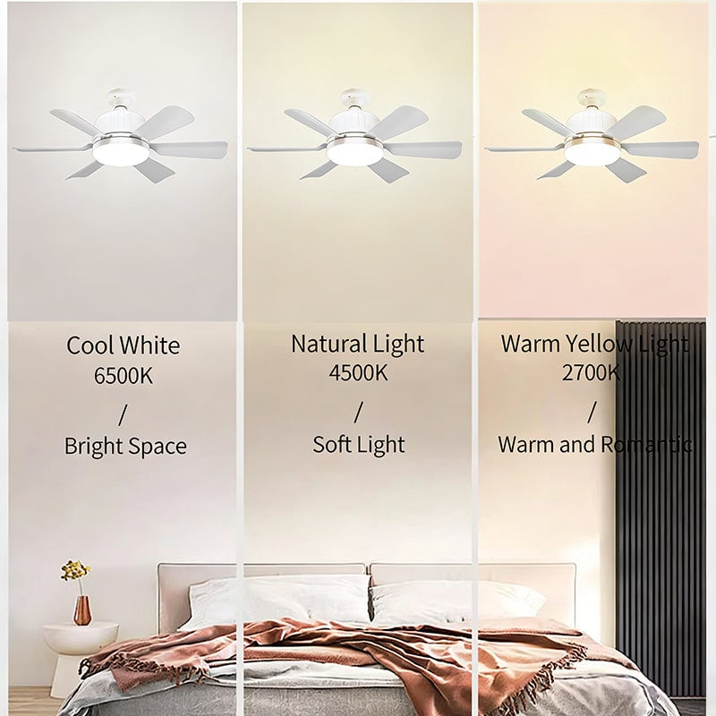 Ceiling Fan with LED Light