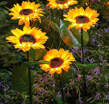 Load image into Gallery viewer, Solar Sunflower Lights