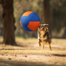 Load image into Gallery viewer, 18" Dog Herding Ball