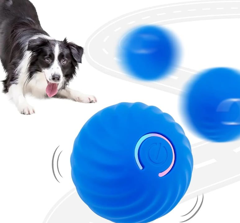 Indoor Cat Interactive Ball