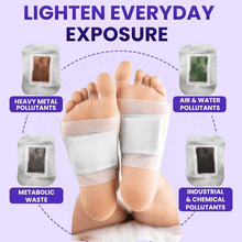 Load image into Gallery viewer, Herbal Detox Foot Pads