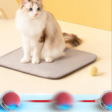Load image into Gallery viewer, Indoor Cat Interactive Ball