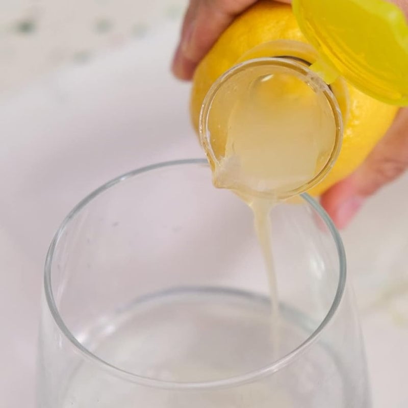 Compact Juice Extractor with Lid (2 PCS)