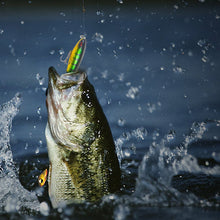 Load image into Gallery viewer, Artificial Fishing Lure (10pcs)