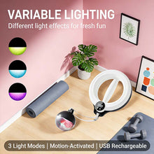 Load image into Gallery viewer, 360° Smart Manual Rotating Arm &amp; Shoulder Trainer