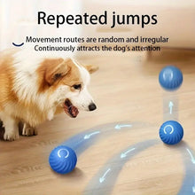 Load image into Gallery viewer, Electric Rolling Pet Toy Ball