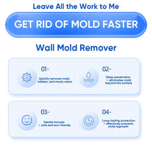 Load image into Gallery viewer, Fast Acting Anti-Mold Wall Cleaner Spray