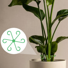 Load image into Gallery viewer, Monstera support retainer sets