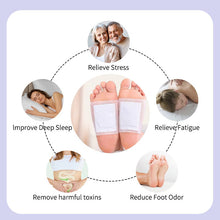 Load image into Gallery viewer, Herbal Detox Foot Pads