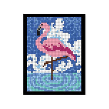 Load image into Gallery viewer, Color Numbers Book 100 QUEST