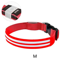 Load image into Gallery viewer, Dual Fiber Nighttime Luminous Dog Collar
